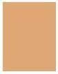 Actual product image MAC Cosmetics Studio Radiance Face And Body Radiant Sheer Foundation (C2)
