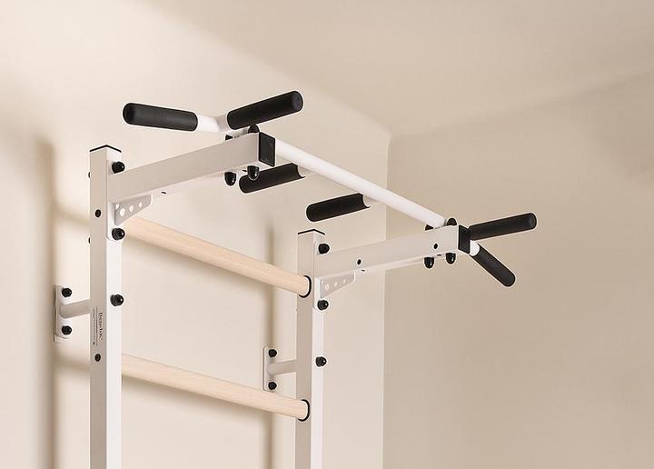 Actual product image BenchK Wall bars 222 with multi pull-up bar, rope & rings