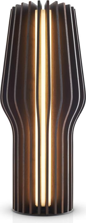 Actual product image Eva Solo Radiant (135.75 lm)