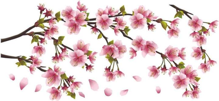 Produktbild Trenddeko Kirschblütenzweig (140 x 65 cm)