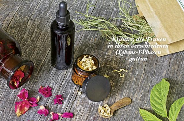 Produktbild Das kleine Buch: Kräuter, die Frauen guttun (Deutsch, Michaela Schnetzer, 2019)