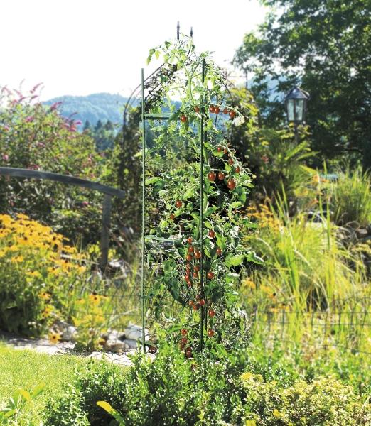 Actual product image Windhager Tomato tower (30 cm, 30 cm)