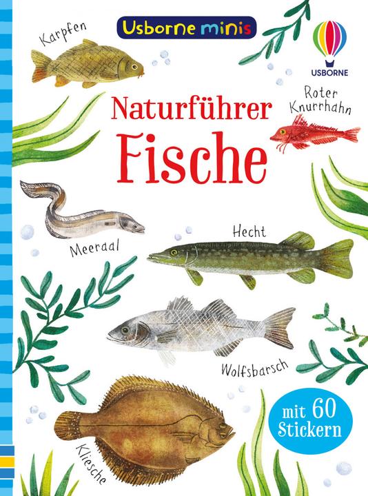 Image du produit Minis Naturführer: Fische (Allemand, Kate Nolan, 2022)