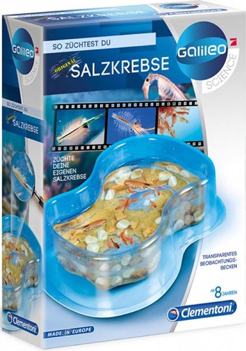 Clementoni Galileo: This is how you grow sea monkeys