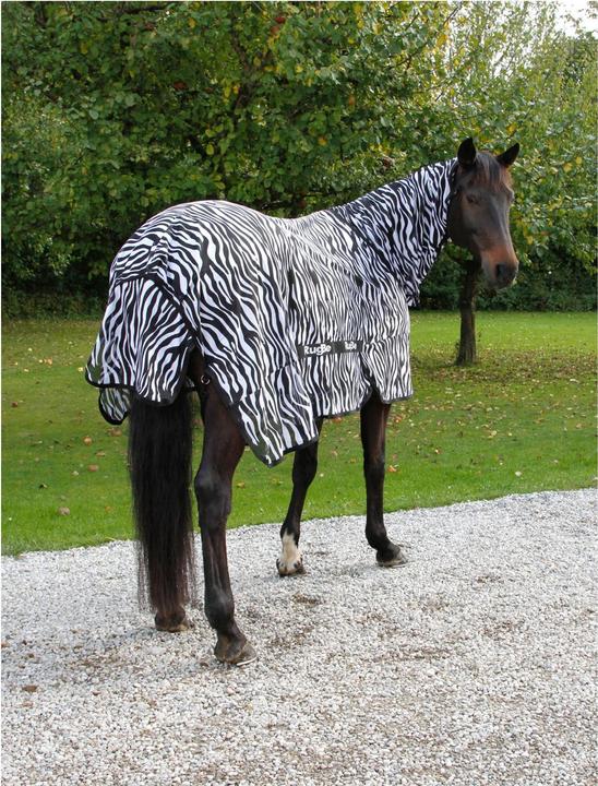 Immagine prodotto Kerbl Tappeto Zebra fly e sweet itch con sezione del collo (145 cm)