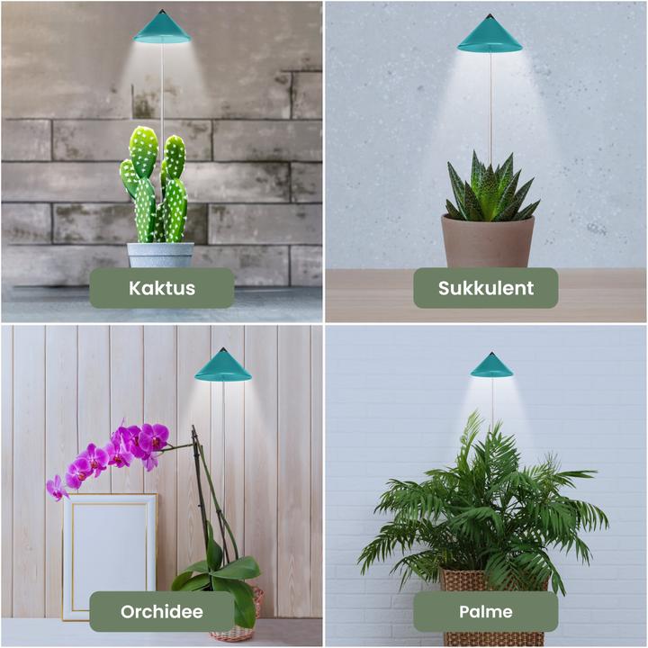 Productafbeelding Parus by Venso SUNLiTE Plant Lamp 7W Benzine (LED, 230 V)