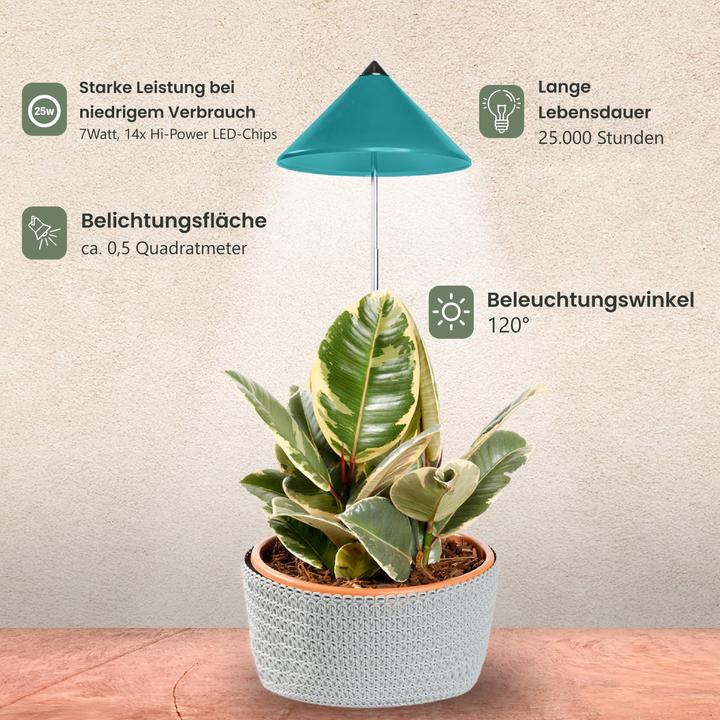 Productafbeelding Parus by Venso SUNLiTE Plant Lamp 7W Benzine (LED, 230 V)