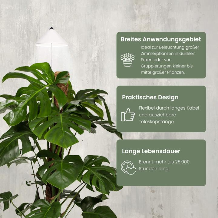 Produktbild Parus by Venso Sunlite XL 25 (LED, 230 V)