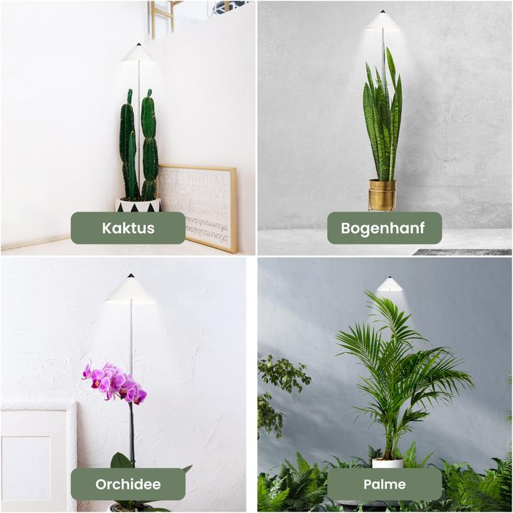 Produktbild Parus by Venso Sunlite XL 25 (LED, 230 V)