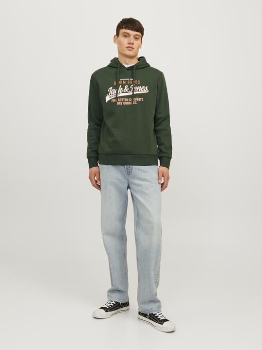 Produktbild Jack & Jones JJELOGO SWEAT HOOD 2 COL 24/25 NOOS (M)