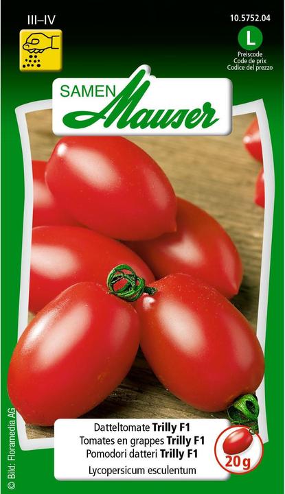 Samen Mauser Trilly F1 tomate datte (Graines de légumes)