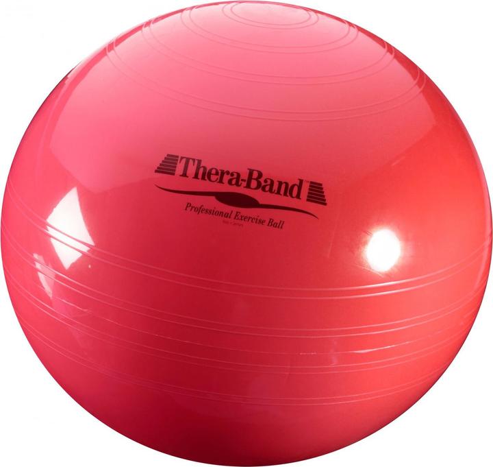 TheraBand ABS Gymnastikball (55 cm)