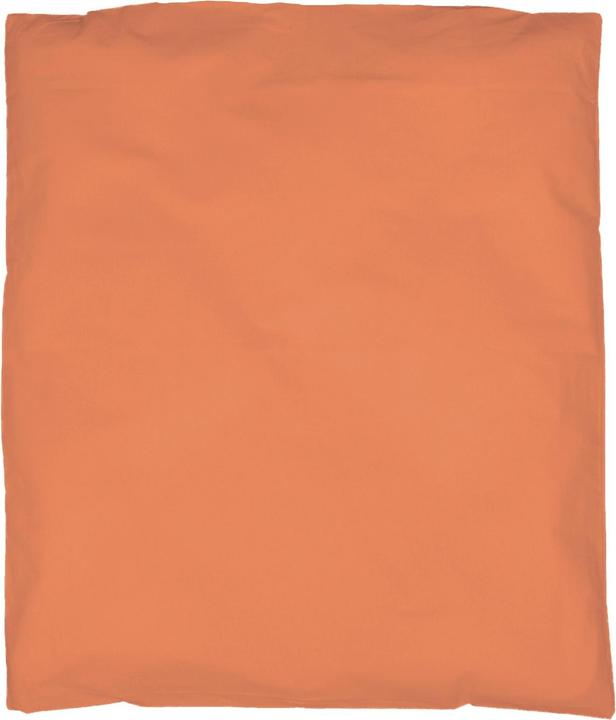 Apricot
