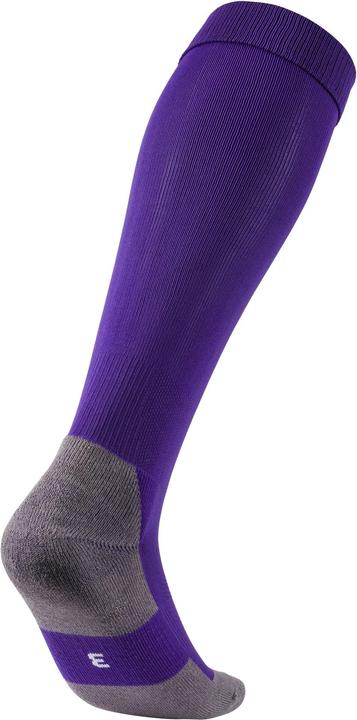 Actual product image Puma Team LIGA Socks CORE-703441 (35, 39)