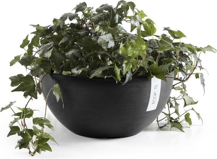 Produktbild Ecopots Brussels (30 cm)