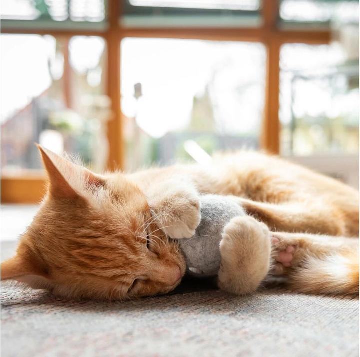 Image du produit CanadianCat Jouet pour chats Balle en feutre avec sac à parfum (Jouet à balle chat)