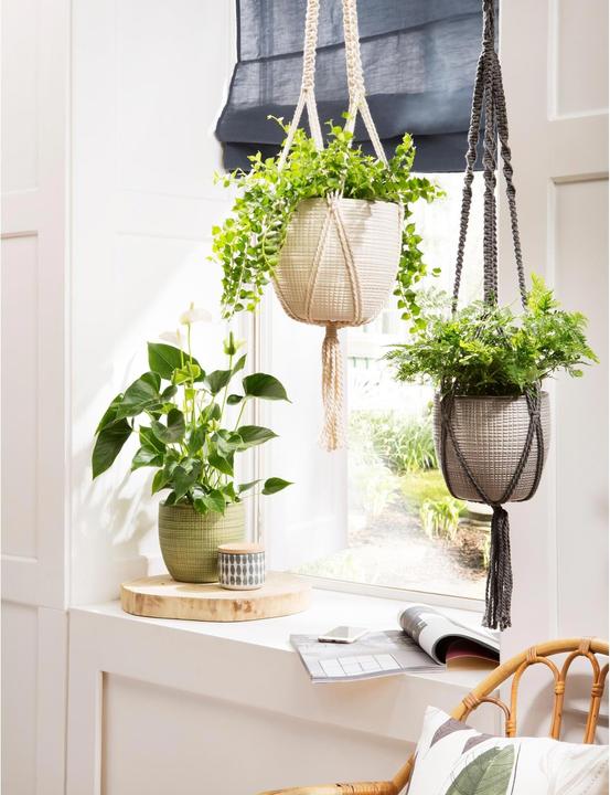 Immagine prodotto Scheurich Lampada a sospensione 868 (22.50 cm)