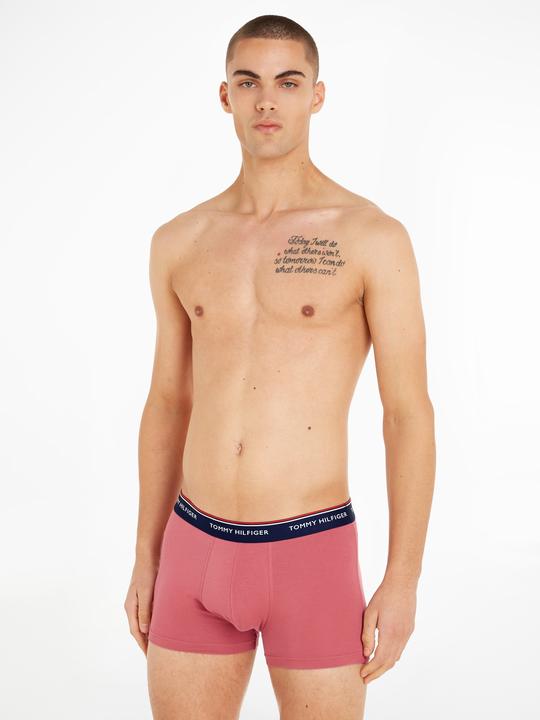 Actual product image Tommy Hilfiger Trunk (L, pack of 3)