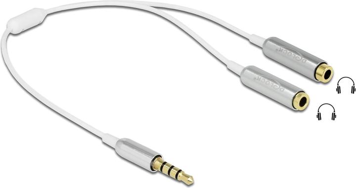 Produktbild Delock Audio Splitter Klinkenstecker 3.5 mm 4 Pin > 2 x Klinkenbuchse 3.5 mm 4 Pin (0.25 m, 3.5mm Klinke (AUX))