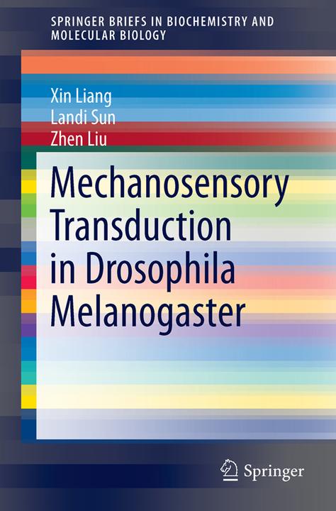 Energie-Label Mechanosensory Transduction in Drosophila Melanogaster (Zhen Liu, Landi Sun, Xin Liang, 2017)