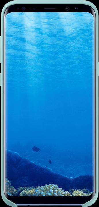Image du produit Samsung Silicone (Samsung Galaxy S8+)