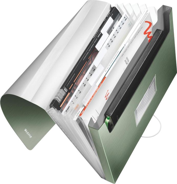 Actual product image Leitz Folder (A4, 1 x)