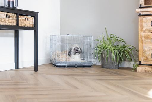 Immagine prodotto Beeztees Gabbia metallica a 2 porte (Gabbia per cani)