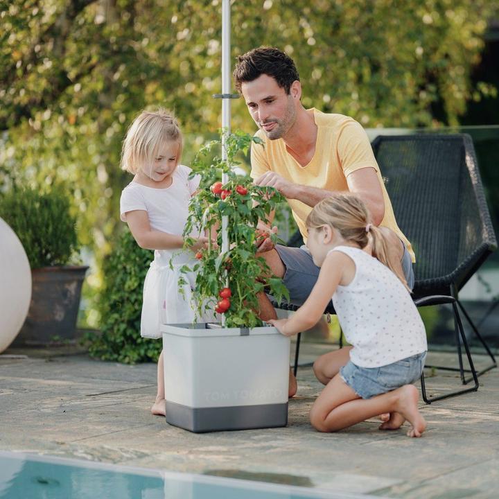 Produktbild Gusta Garden Tom Tomato (35 cm)