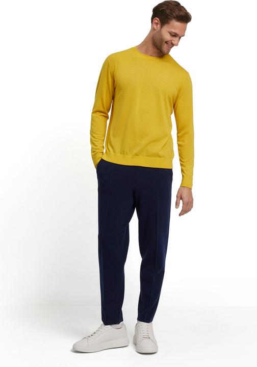 Image du produit Falke Pulls pour hommes (S)