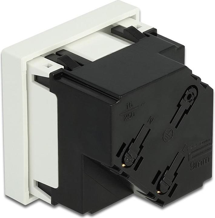 Actual product image Delock Easy 45 protective contact socket 45° arrangement 45 x 45