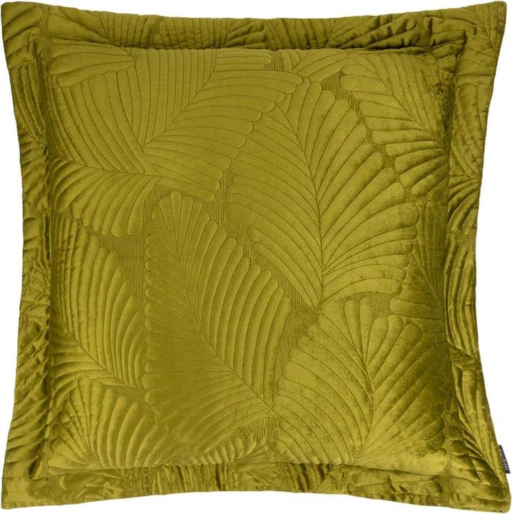 Verde muschio