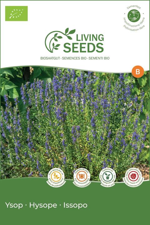 Living Seeds Ysop (Semi di erbe)