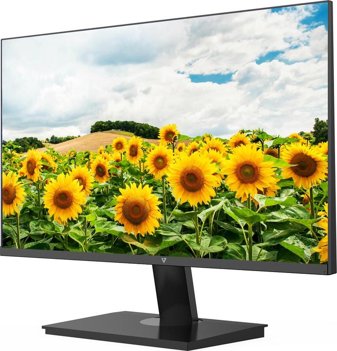 Immagine prodotto V7 Monitor Fhd Ips Da 23,8 Pollici HDMI (1920 x 1080 pixel, 23.80")