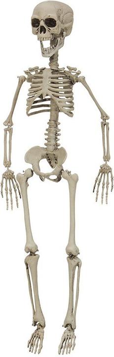 Actual product image Joker Halloween - Skeleton 76 cm (90091)