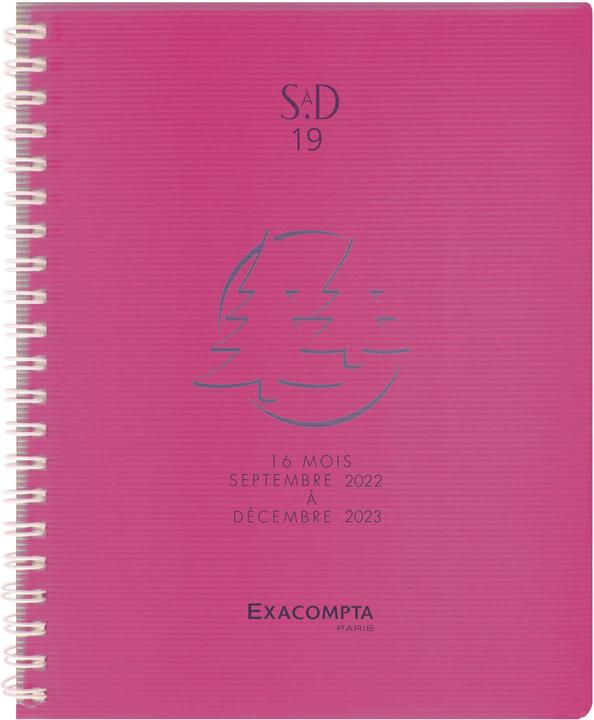 Image du produit Exacompta Agenda SAD 19W Linicolor