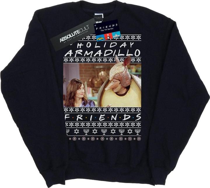 Actual product image Friends Boys Fair Isle Holiday Armadillo Sweatshirt (140, 146)