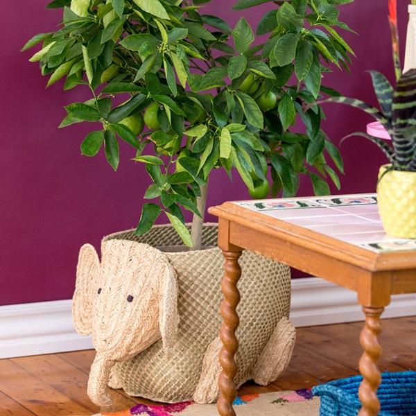 Produktbild Rice Elephant (1 x)