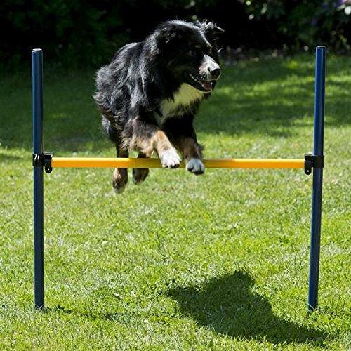 Produktbild Petcenter XXL Agility Set - 1 Tunnel 60x152 cm, 8 Slalomstangen, 2 Sprünge, 1 Boxband (One Size, Agility)