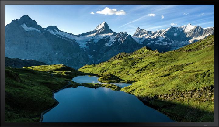Samsung OH55A-S (1920 x 1080 pixels, 55")