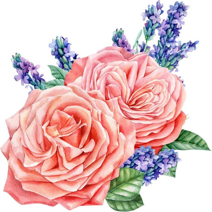 Produktbild Trenddeko Rosen Harmonie rosé XXL (80 x 80 cm)