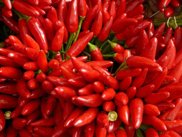 Immagine prodotto Zollinger Bio Chili, Il Sacco Caldo Selezione Originale Z