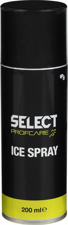 Select IJsspray (1 x, 200 ml)