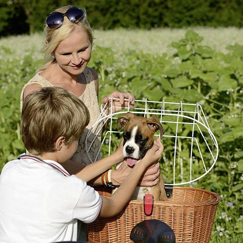 Produktbild KlickFix Doggy-Basket (40 l)
