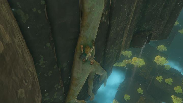 Actual product image Nintendo The Legend of Zelda: Tears of the Kingdom (Switch, Multilingual)