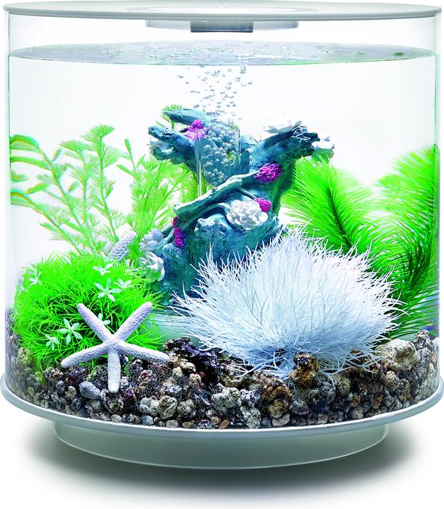 Actual product image Oase biOrb Aquarium 15 Decor Set (Embellishment, other items)