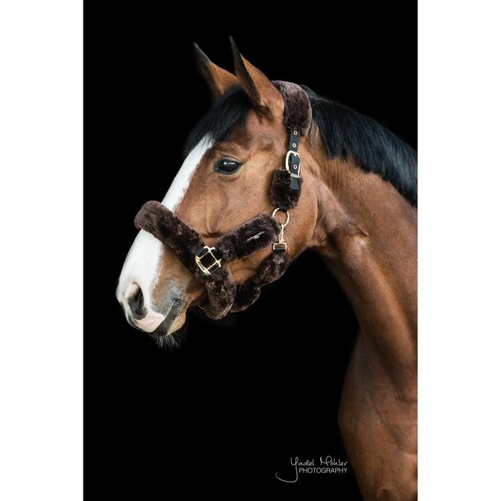 Produktbild Kentucky Horsewear Halfter Lammfell