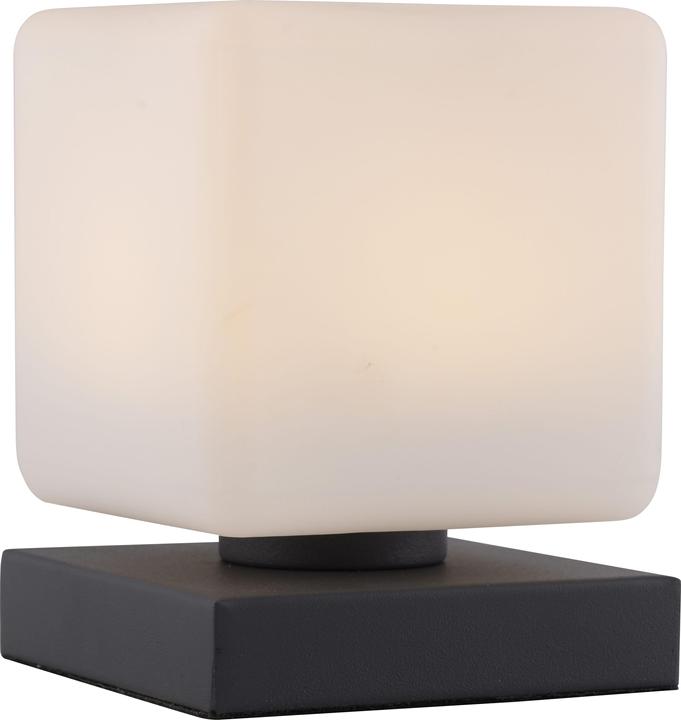 Produktbild Paul Neuhaus Dadoa (580 lm)