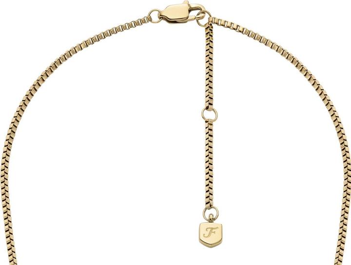 Actual product image Fossil Jewelry Necklace (Stainless steel)