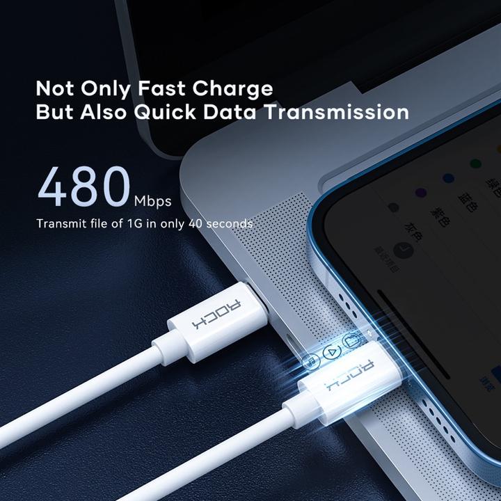Produktbild Rock - Multifunktionales Aufbewahrungs-Set - USB-C PD Kabel (60W), SIM-Fach und Adapter (0.25 m)
