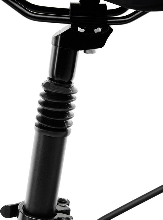 Produktbild Argento E-Bike Omega Black